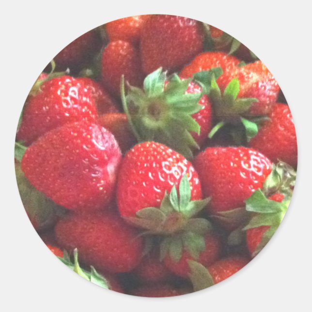 Strawberries | fresh picked red berries   classic  round sticker (Front)