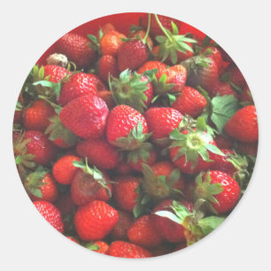 Strawberries   fresh picked red berries   classic round sticker