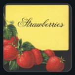 STRAWBERRIES Fruit Preserve,Canning Square Sticker<br><div class="desc">Colourful vintage elaboration for red fruit preserve , jam , jar labels.</div>