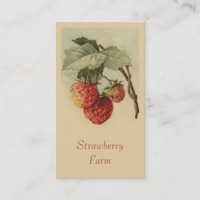 Strawberries fruit sales business card (Front)