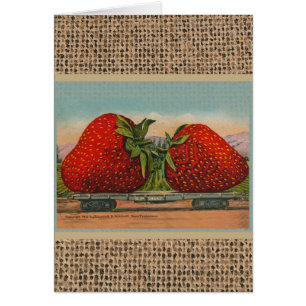 Strawberries Giant Antique Fruit Fun