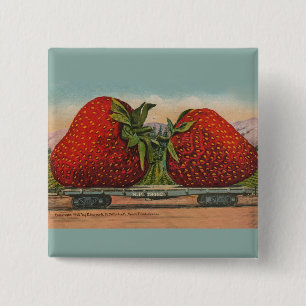 Strawberries Giant Antique Fruit Fun 15 Cm Square Badge