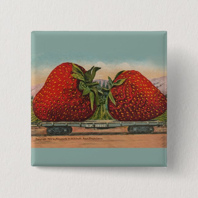 Strawberries Giant Antique Fruit Fun 15 Cm Square Badge (Front)