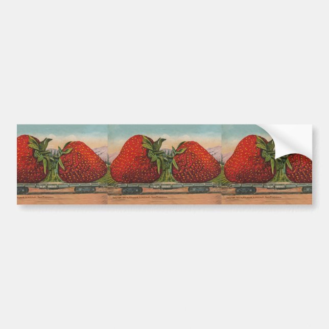 Strawberries Giant Antique Fruit Fun Bumper Sticker (Front)