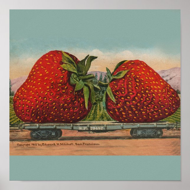 Strawberries Giant Antique Fruit Fun Poster (Front)