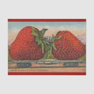 Strawberries Giant Antique Fruit Fun Tissue Paper