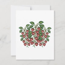 strawberries