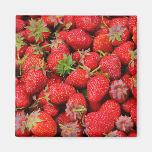 Strawberries Magnet