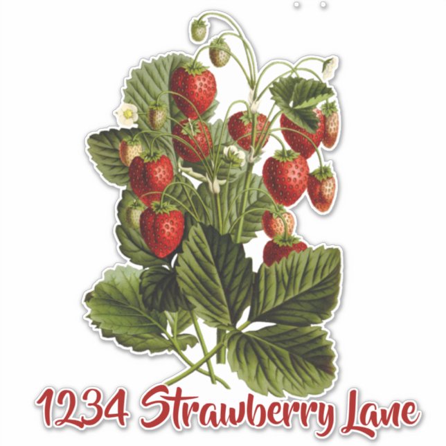Strawberries mailbox sticker (Front)