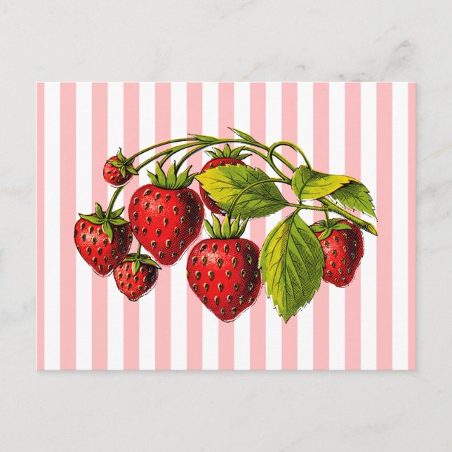 Strawberries on Pink and White Stripes Postcard (Front)