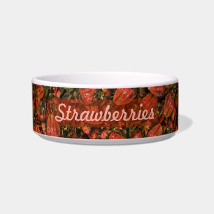 Strawberries Pet Bowl
