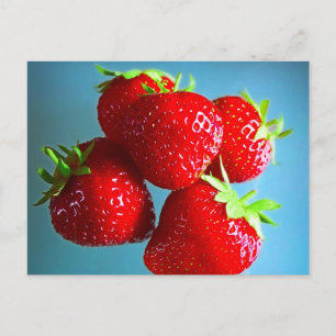 Strawberries Photo Postcard