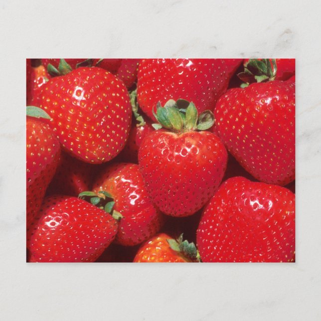 Strawberries Postcard (Front)
