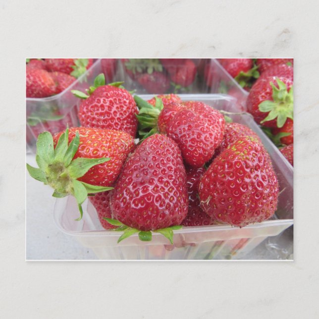 Strawberries Postcard (Front)