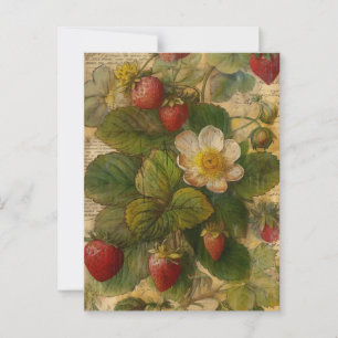 Strawberries Postcard
