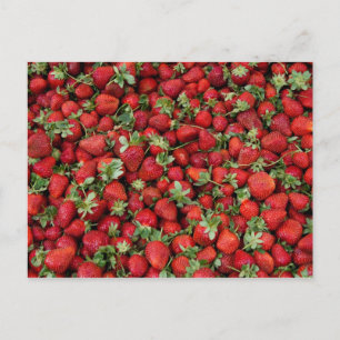 Strawberries Postcard