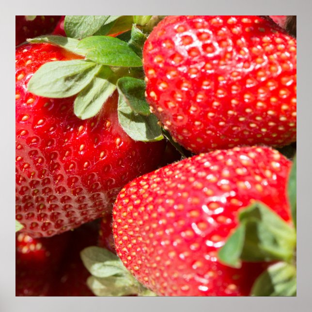 Strawberries Poster (Front)