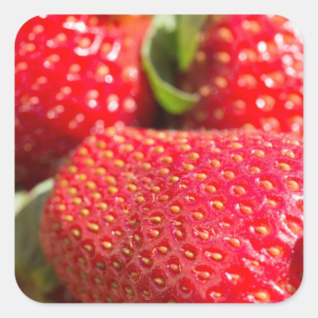 Strawberries Square Sticker (Front)