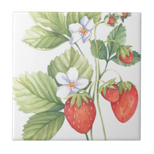 Strawberries Tile