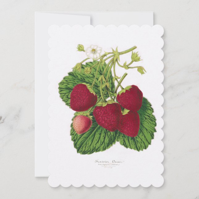 Strawberry Afternoon Tea Invitation (Front)