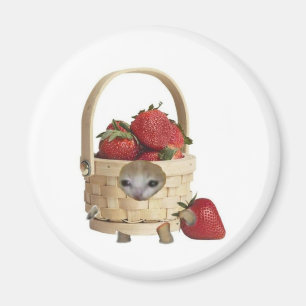 Strawberry basket cat  magnet