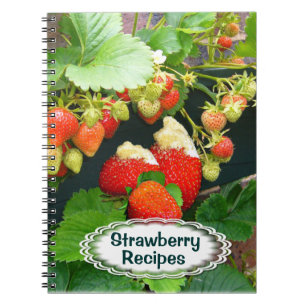 Strawberry Basket ~Recipe  Notebook