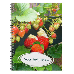 Strawberry Basket ~ Your Text Notebook