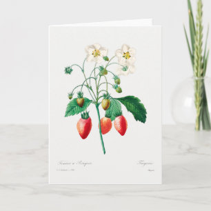 Strawberry Botanical Print Card