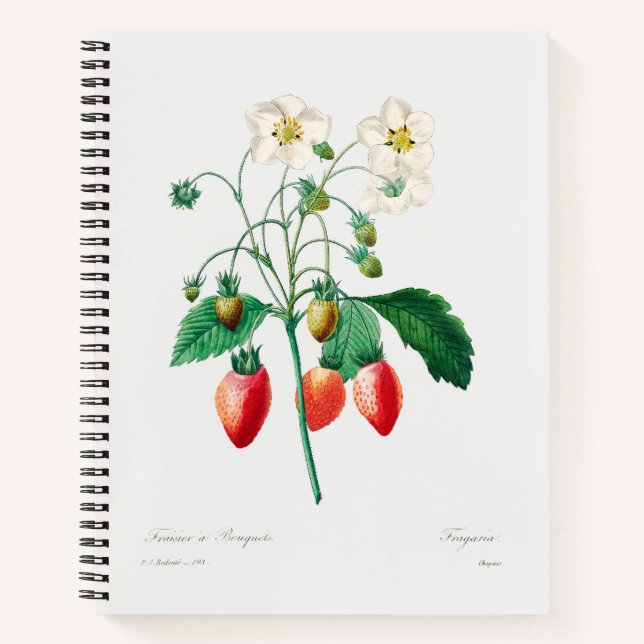 Strawberry Botanical Print Notebook (Front)
