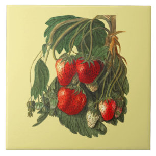 Strawberry ~ Botanical Tile ~ Kitchen ~ Any Colour