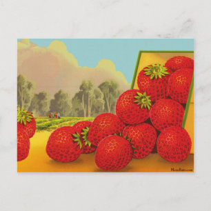 Strawberry Crate Art Custom Recipe Card Postcard