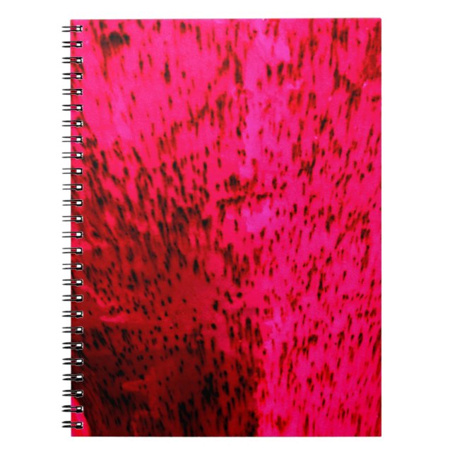 Strawberry Earthenware Notebook (Front)