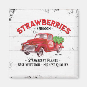 Strawberry Farm Farmhouse Old Red Farm Truck  Magnet