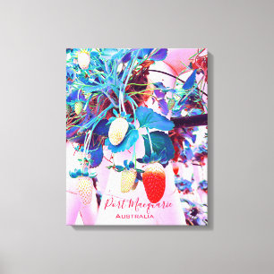 Strawberry farm Port Macquarie Australia Canvas Print