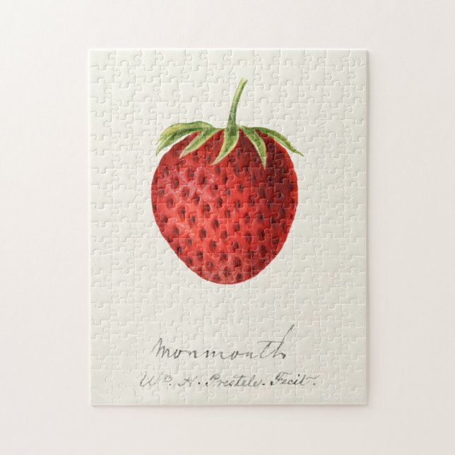 Strawberry (Fragaria) Fruit Watercolor Painting Jigsaw Puzzle (Vertical)