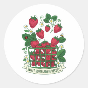 Strawberry Fruit Food Berry Sweet Basket Classic Round Sticker
