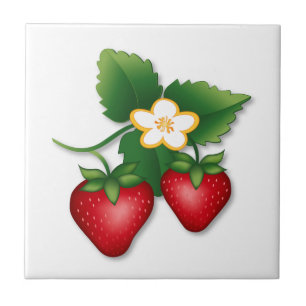Strawberry Garden to Kitchen Tile