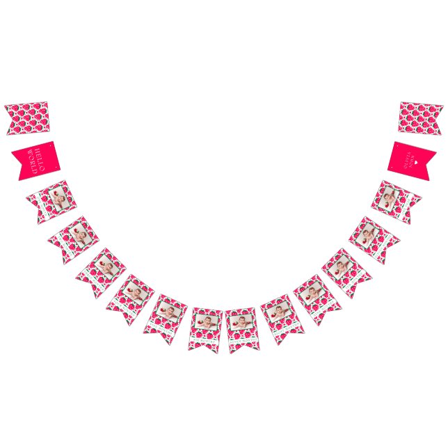 Strawberry Girl 1st Birthday Milestones Photos  Bunting (All)