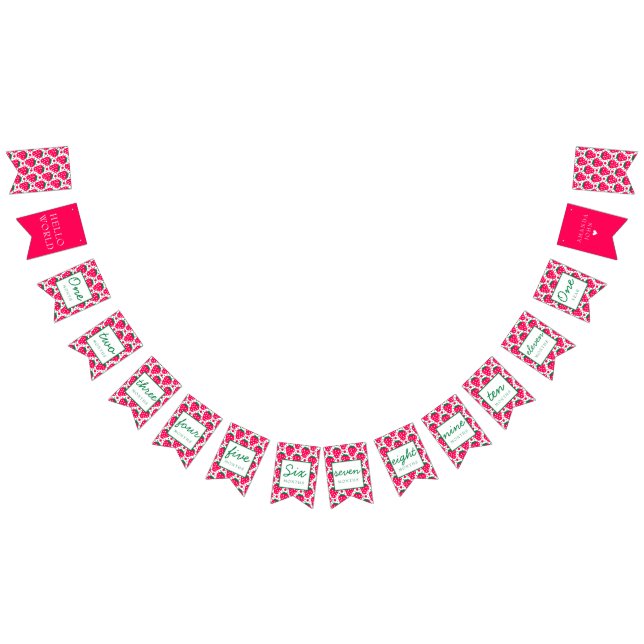 Strawberry Girl Berry 1st Birthday Milestones Bunting (All)