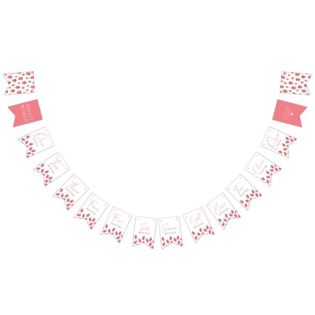 Strawberry Girl Berry First Birthday Milestones Bunting (All)