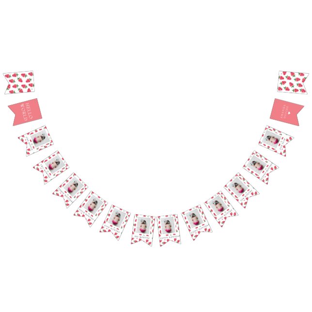 Strawberry Girl First Birthday Milestones Photos  Bunting (All)