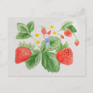 Strawberry Gnome Postcard