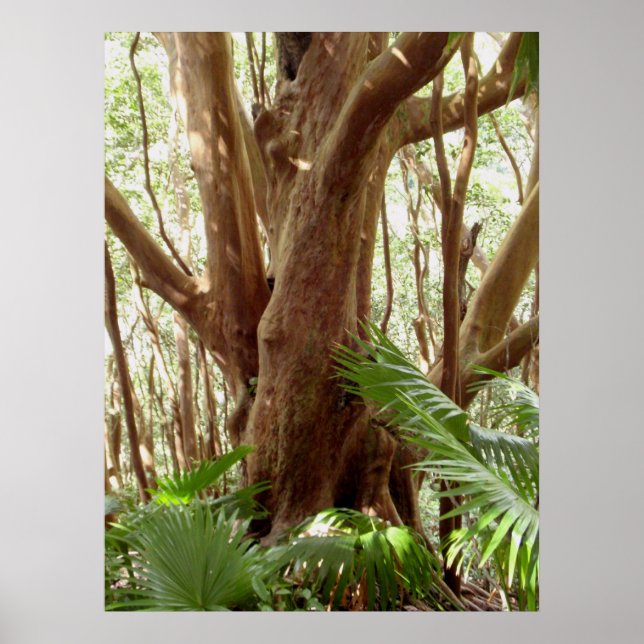 Strawberry Guava Tree and Palms Poster (Front)