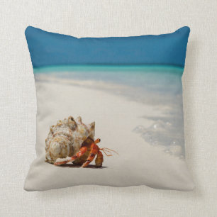 Strawberry Hermit Crab   Coenobita Perlatus Cushion