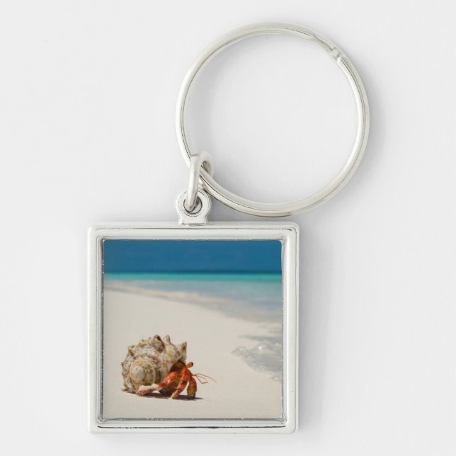 Strawberry Hermit Crab | Coenobita Perlatus Key Ring (Front)
