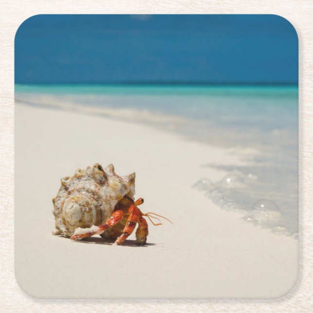 Strawberry Hermit Crab | Coenobita Perlatus Square Paper Coaster (Front)
