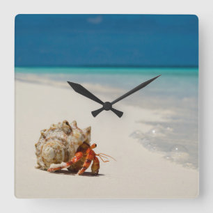 Strawberry Hermit Crab   Coenobita Perlatus Square Wall Clock