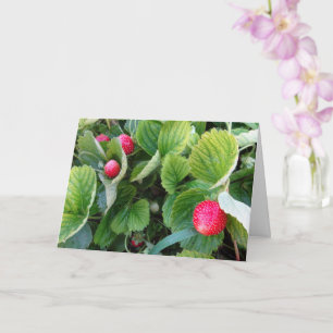 Strawberry Patch Card