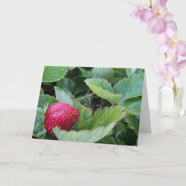 Strawberry Patch Card (Orchid)