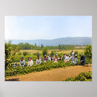Strawberry Picking Hood River Valley Oregon c1920s Poster